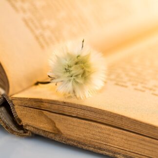 Infomaterial Bücher