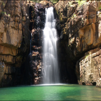 Entschlacken Entgiften