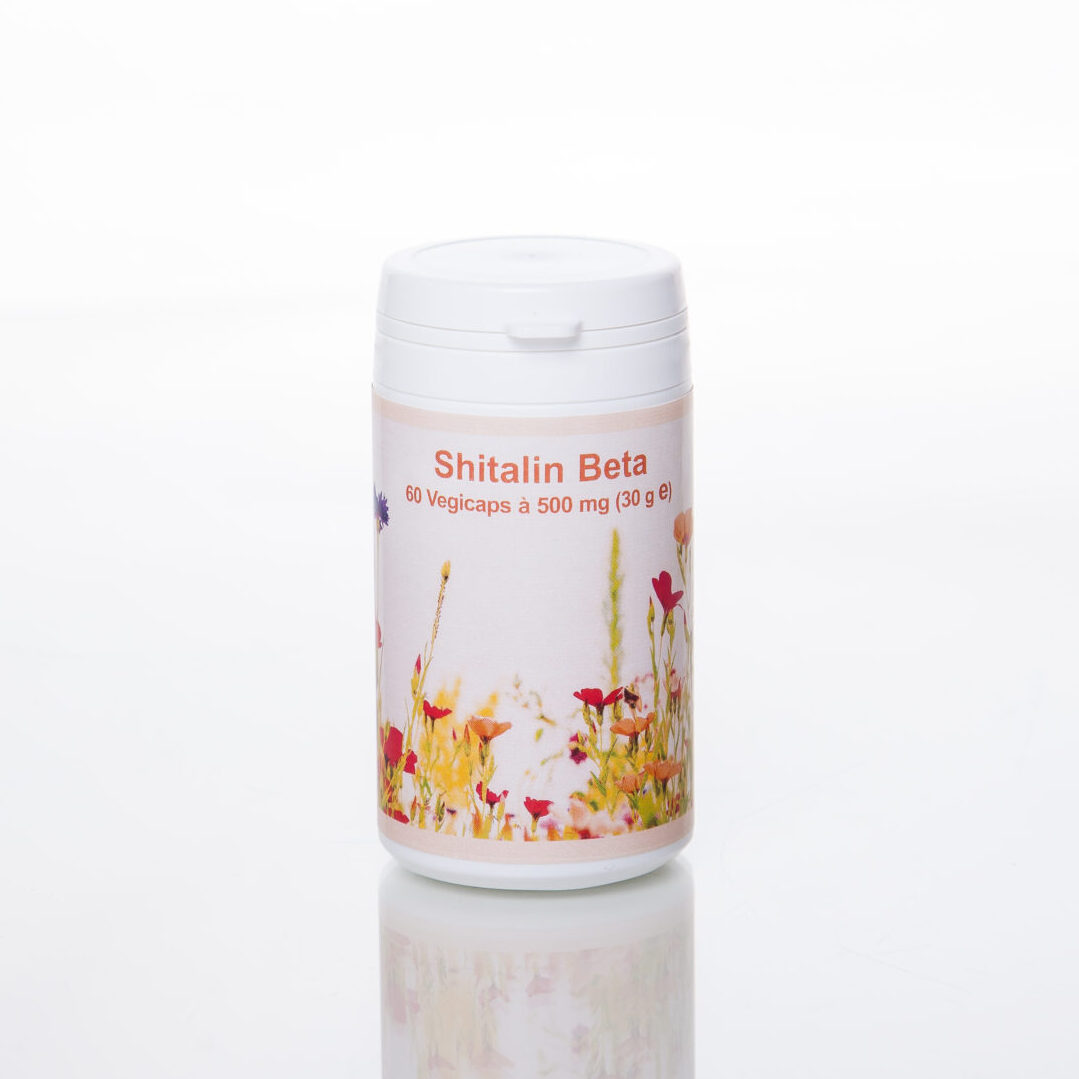 Shiitalin Beta – Bild 2